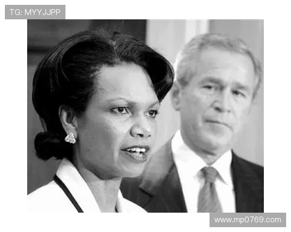 赖斯的外交策略与全球影响力分析探讨